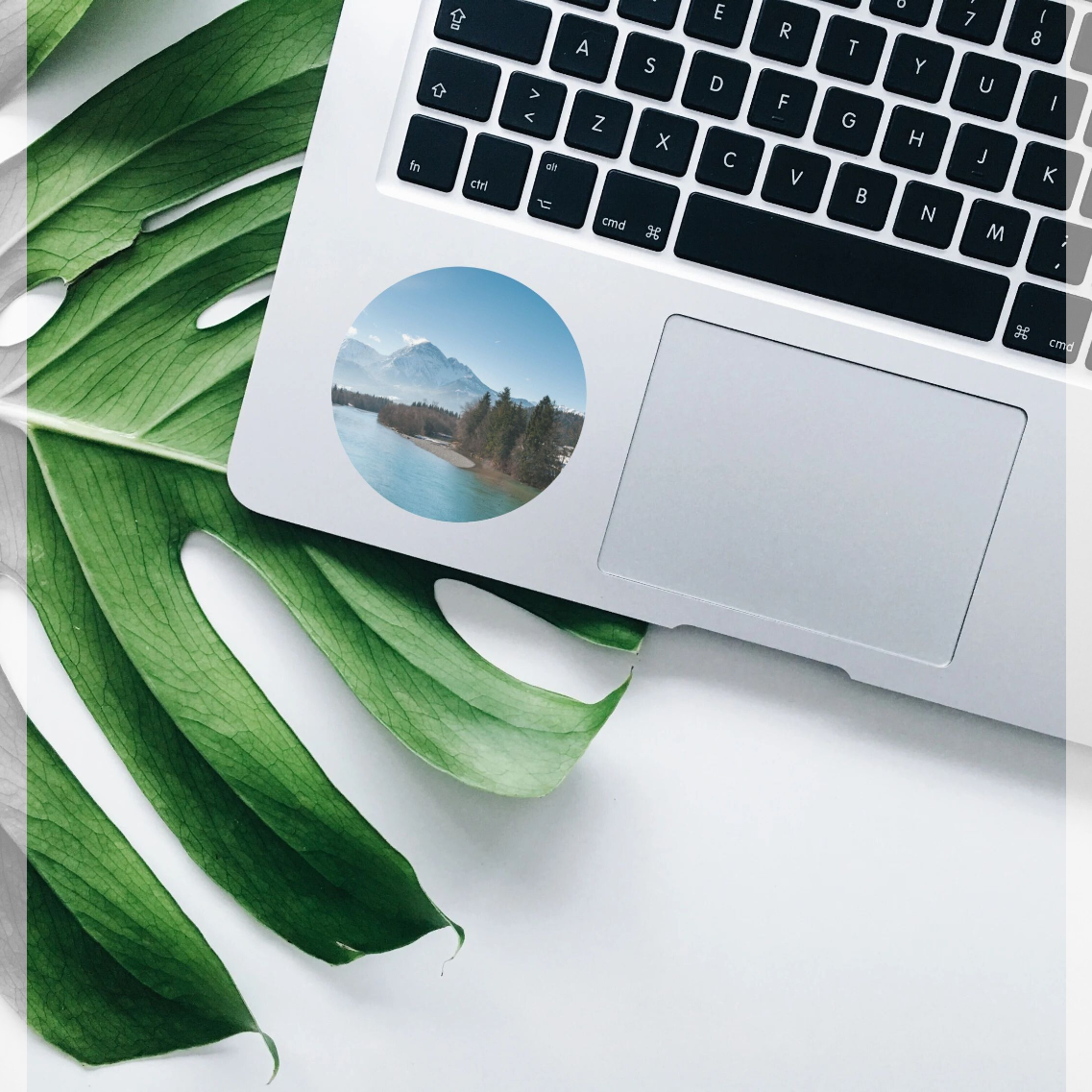 Circle Sticker (60 x 60mm)